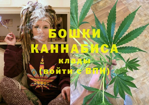 PSILOCYBIN Лагань