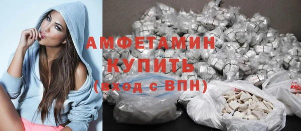 PSILOCYBIN Лагань