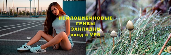 круглые Ладушкин