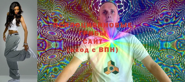 круглые Ладушкин