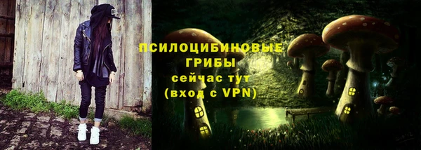 PSILOCYBIN Лагань