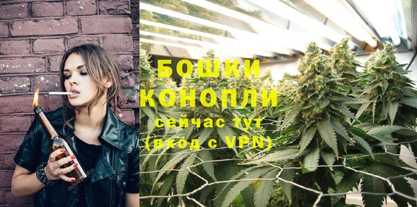 PSILOCYBIN Лагань